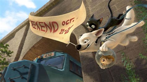 [100+] Bolt Wallpapers | Wallpapers.com