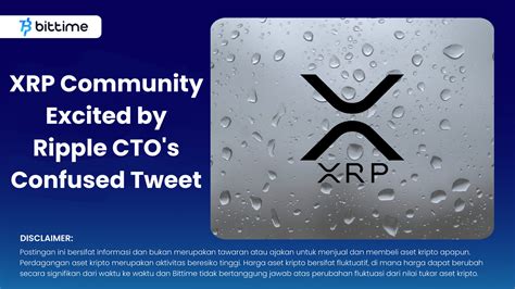 XRP Community Excited by Ripple CTO's Confused Tweet – Bittime