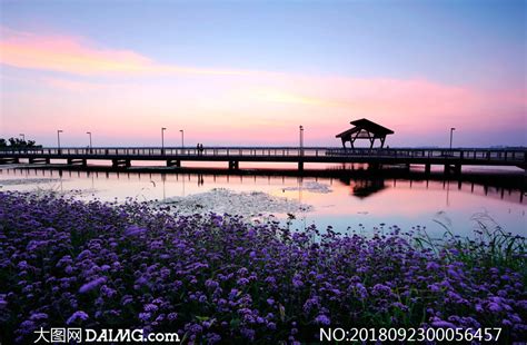 阳澄湖半岛旅游度假区摄影图片_大图网图片素材