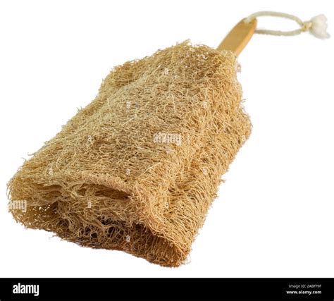 Vegetable sponge (Loofah) on a stick to bathe in the shower Stock Photo ...