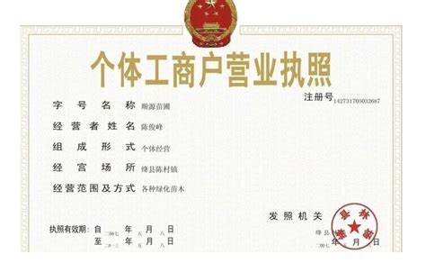 安徽首张代理记账电子证照19日从合肥发出_央广网