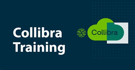 Collibra Training 的图像结果