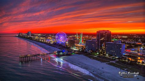 Ed Piotrowski on Twitter: "This is one of THE most spectacular Myrtle ...