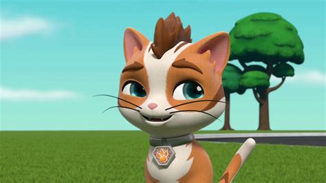 PAW Patrol S08 B25 izle | TV+