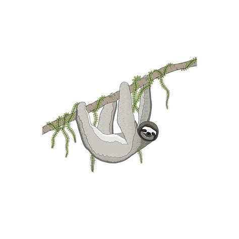 Image result for How to Draw a Three Toed Sloth