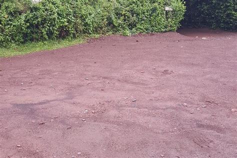 Beautiful and knowledgeable boat trip! - Reviews, Photos - Amani boat ...