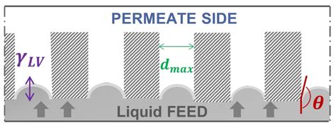 Membranes for the Gas/Liquid Phase Separation at Elevated Temperatures ...