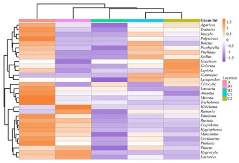 Ecological Factors Influencing the Occurrence of Macrofungi from ...