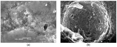 Cavitation Wear of Basalt-Based Glass Ceramic