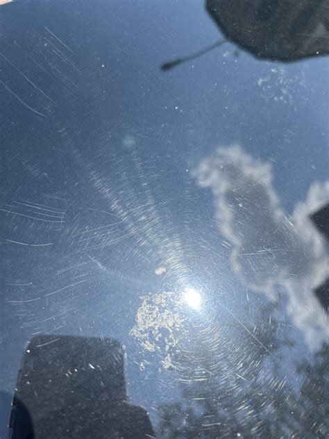 Image result for Bird Poop Reactions