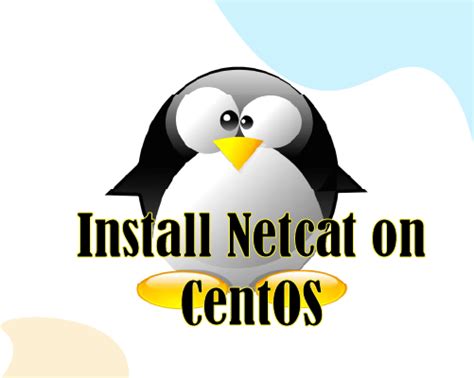 Netcat Download 的图像结果