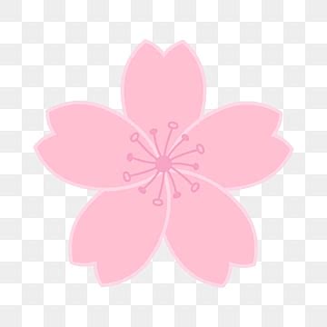 Image result for Multidexing Example in Code Android