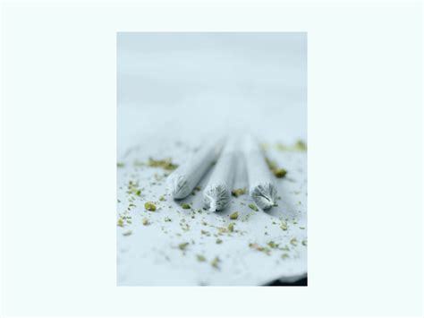 Joint Rolling Tutorial 的图像结果