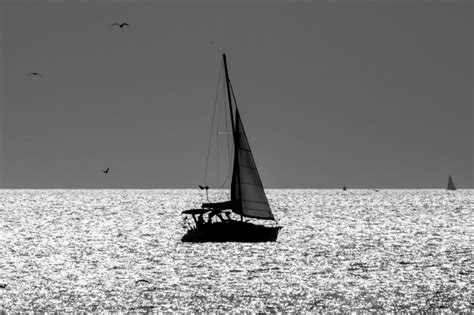 Sun reflections and sailboats monochrome photography | Premium Photo