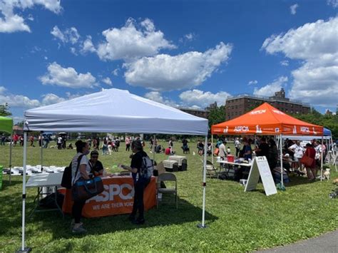 At the Big Park, NYPD hosts ‘Paws and Police’ event - silive.com