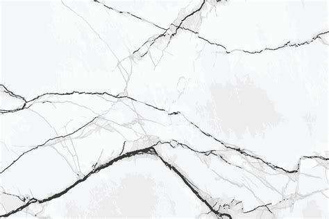 White And Black Marble Texture