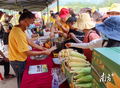 肇庆：四会贞山旅游度假区成功创建为省级旅游度假区-荔枝网