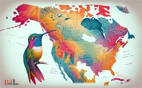 Image result for Hummingbird Distribution Map