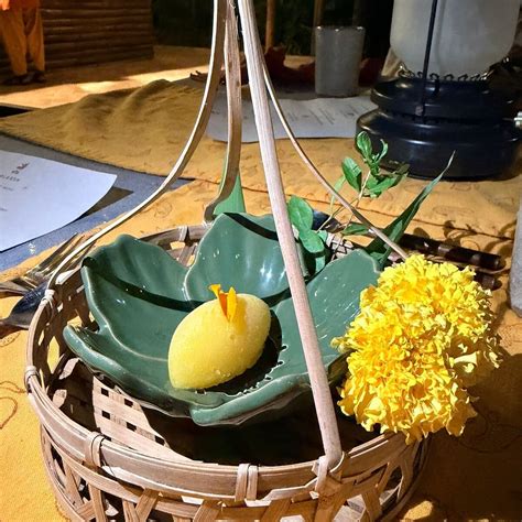 TIPAI - WILDLIFE LUXURIES (Gondwakadi) - B&B Reviews, Photos, Rate ...