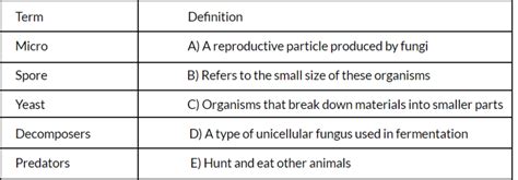 Worksheet: Microorganisms - IGCSE Cambridge Science for Year 6 - Class ...