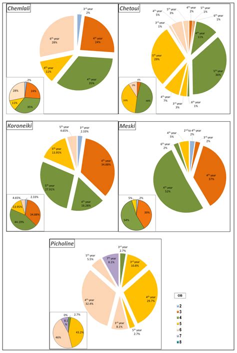 Architectural Analysis for Novel Olive Crop Management