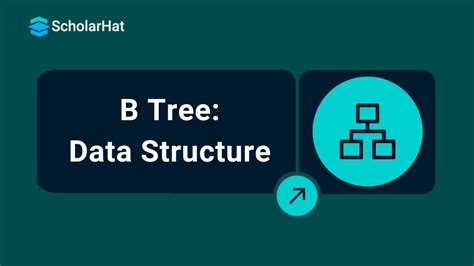 B-trees Data Structure 的图像结果