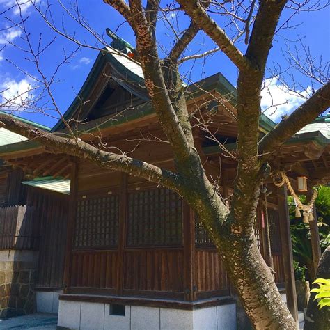 SUMIYOSHI SHRINE - All You SHOULD Know Before Going 2026 (with Photos ...