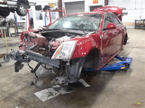 Vehicle List - Ewe Pullet