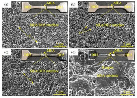 Microstructure and Mechanical Properties of Diffusion-Bonded CoCrNi ...