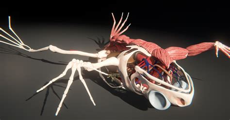 Image result for 2D Unity Tutorial Frog