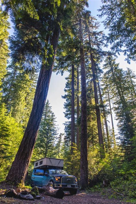 Rezultat imagine pentru Project M Prototype