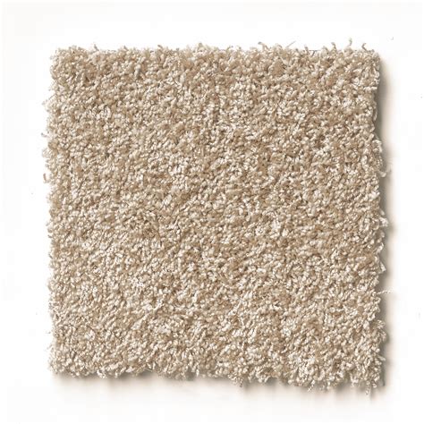 Shaw Floors Carpet Diem Canvas