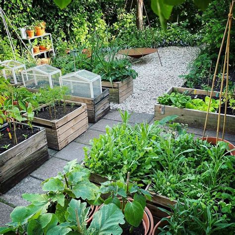 35 Creative Container Vegetable Garden Ideas - A Piece Of Rainbow