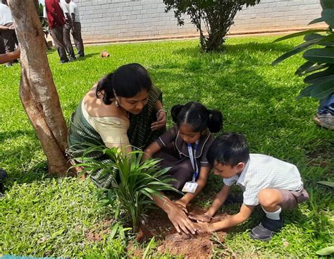 NPS - National Public School