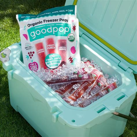 GoodPop Organic Freezer Pops | 100% Juice | No Added Sugar - 20ct | Buy ...