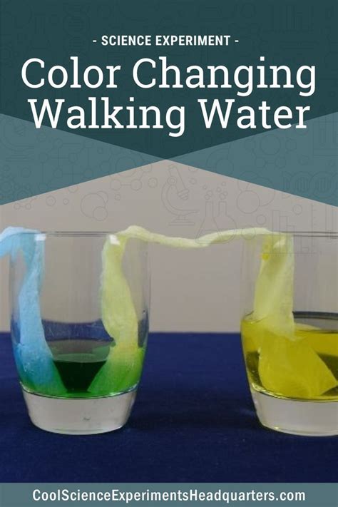 Kindergarten Experiments 的图像结果