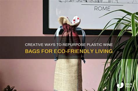 Image result for Reusing Box Wine Bags