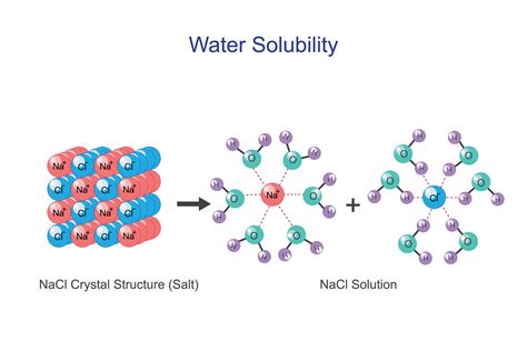 Water solubility of sodium chloride NaCl or salt. Aquous solution of hydrated cations and ...