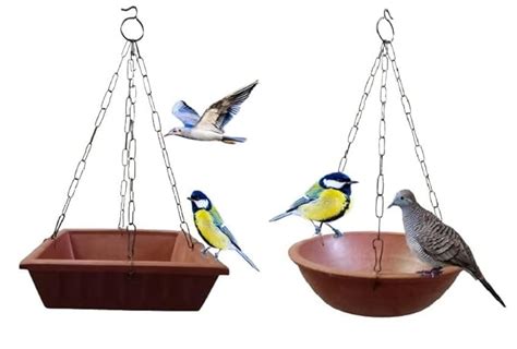 Potterywalaz Terracotta Bird Feeder/Handcrafted Natural Clay Bird ...