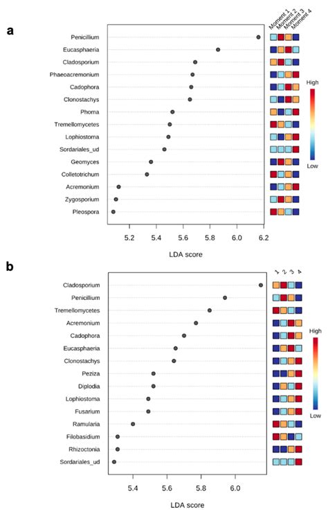Exploring the Temporal Dynamics of the Fungal Microbiome in Rootstocks ...