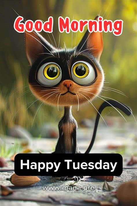 91 Tuesday ideas | tuesday greetings, good morning tuesday, good ...