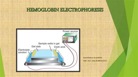 Image result for Class 8 Computer Science Notes