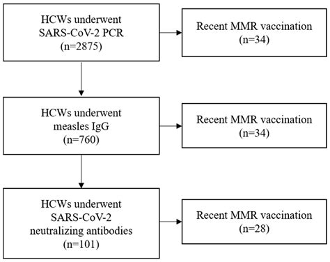 Effectiveness and Immunogenicity of the MMR Vaccine Against SARS-CoV-2 ...