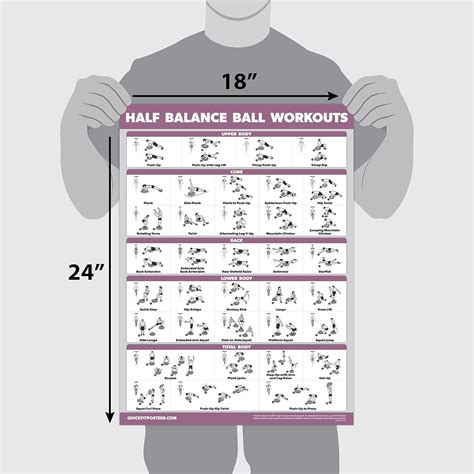 Buy 2 Pack: Half Balance Ball Workout Poster + Yoga Ball Exercise Chart ...