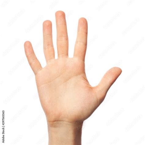 5 in Sign Language 的图像结果