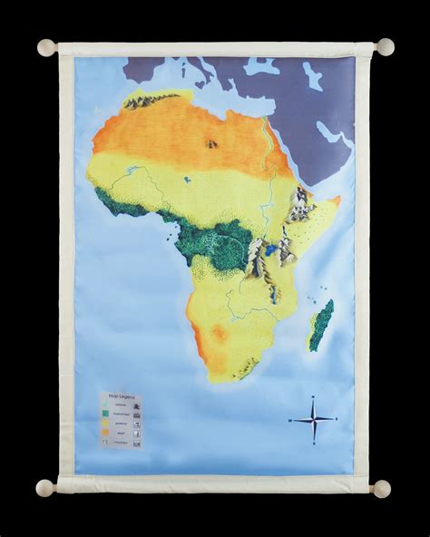 Africa Biome Map
