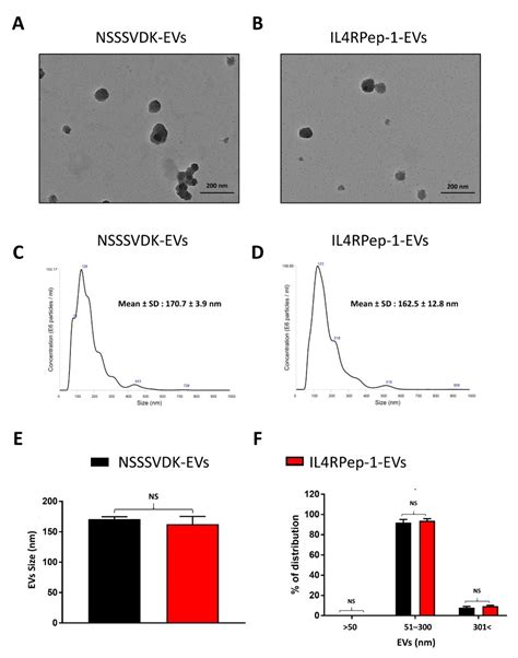 Interleukin-4 Receptor Targeting Peptide Decorated Extracellular ...