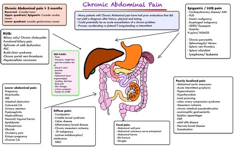 Differential Diagnosis Abdominal Pain Right Upper Quadrant at Stan Waters blog