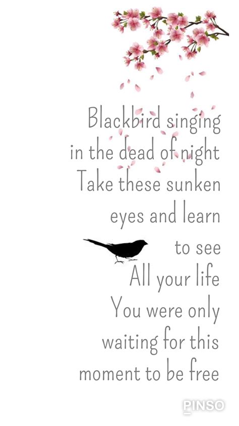Blackbird Beatles Wallpaper in 2025 | Great song lyrics, Beatles ...