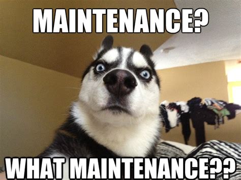 Maintenance Control Meme 的图像结果